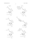 NUCLEOBASE-FUNCTIONALIZED CONFORMATIONALLY RESTRICTED NUCLEOTIDES AND     OLIGONUCLEOTIDES FOR TARGETING NUCLEIC ACIDS diagram and image