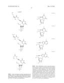 NUCLEOBASE-FUNCTIONALIZED CONFORMATIONALLY RESTRICTED NUCLEOTIDES AND     OLIGONUCLEOTIDES FOR TARGETING NUCLEIC ACIDS diagram and image