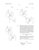 NUCLEOBASE-FUNCTIONALIZED CONFORMATIONALLY RESTRICTED NUCLEOTIDES AND     OLIGONUCLEOTIDES FOR TARGETING NUCLEIC ACIDS diagram and image