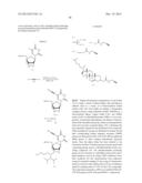 NUCLEOBASE-FUNCTIONALIZED CONFORMATIONALLY RESTRICTED NUCLEOTIDES AND     OLIGONUCLEOTIDES FOR TARGETING NUCLEIC ACIDS diagram and image