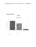 TAZ/WWTR1 FOR DIAGNOSIS AND TREATMENT OF CANCER diagram and image