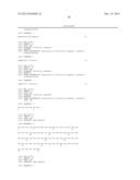 TAZ/WWTR1 FOR DIAGNOSIS AND TREATMENT OF CANCER diagram and image