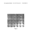 SCREENING ASSAYS AND METHODS diagram and image