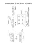 SCREENING ASSAYS AND METHODS diagram and image