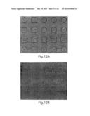 SCREENING ASSAYS AND METHODS diagram and image