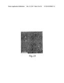 SCREENING ASSAYS AND METHODS diagram and image