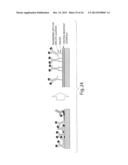 SCREENING ASSAYS AND METHODS diagram and image