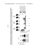 Methods for Differentiating Between Disease States diagram and image