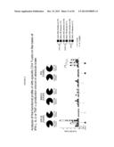 Methods for Differentiating Between Disease States diagram and image