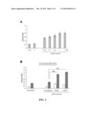 THERAPEUTIC THIOPHENE-, FURAN-, AND PYRIDINE-FUSED     AZOLOPYRIMIDIN-5-(6H)-ONES diagram and image