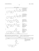 SERINE/THREONINE KINASE INHIBITORS diagram and image