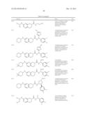 SERINE/THREONINE KINASE INHIBITORS diagram and image