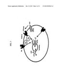 Method for Mediating Dopamine Receptor-Driven Reacidification of Lysosomal     pH diagram and image