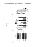 Method for Mediating Dopamine Receptor-Driven Reacidification of Lysosomal     pH diagram and image