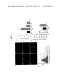 Method for Mediating Dopamine Receptor-Driven Reacidification of Lysosomal     pH diagram and image