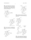 DEUTERATED AND/OR FLUORINATED TAXANE DERIVATIVES diagram and image