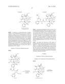 DEUTERATED AND/OR FLUORINATED TAXANE DERIVATIVES diagram and image