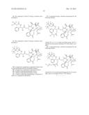 DEUTERATED AND/OR FLUORINATED TAXANE DERIVATIVES diagram and image