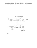 ANIONIC EXCHANGE ELECTROLYTE POLYMER MEMBRANES diagram and image