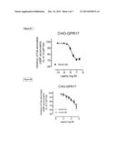 GPR 17 AGONISTS AND SCREENING ASSAY diagram and image