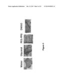 METHODS AND COMPOSITIONS FOR CARRIER AGENTS AND CLEARING AGENTS USED IN     OPTOACOUSTIC IMAGING SYSTEMS diagram and image