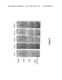 METHODS AND COMPOSITIONS FOR CARRIER AGENTS AND CLEARING AGENTS USED IN     OPTOACOUSTIC IMAGING SYSTEMS diagram and image