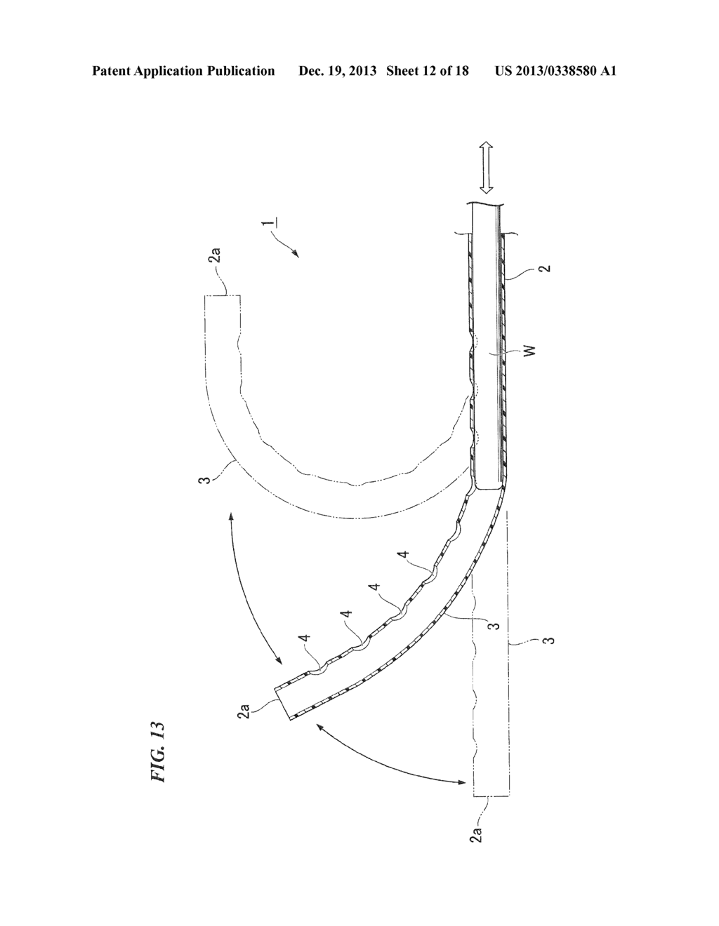 Endoscopic device - diagram, schematic, and image 13