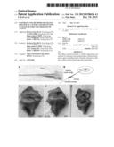 MATERIALS AND METHODS FOR FILLING BIOLOGICAL CAVITIES AND PREVENTING     LEAKAGE OF INJECTED THERAPEUTIC AGENTS diagram and image