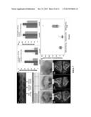 MATERIALS AND METHODS FOR FILLING BIOLOGICAL CAVITIES AND PREVENTING     LEAKAGE OF INJECTED THERAPEUTIC AGENTS diagram and image