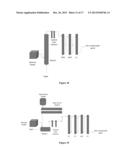 METHOD FOR PRETREATING LIGNOCELLULOSIC BIOMASS diagram and image