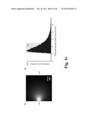 DEEP TISSUE FOCAL FLUORESCENCE IMAGING WITH DIGITALLY TIME-REVERSED     ULTRASOUND-ENCODED LIGHT diagram and image