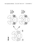 System With Polarized Scattered Light diagram and image