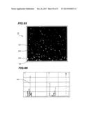 System With Polarized Scattered Light diagram and image