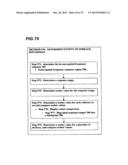 System With Polarized Scattered Light diagram and image