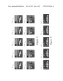 BLUR-KERNEL ESTIMATION FROM SPECTRAL IRREGULARITIES diagram and image
