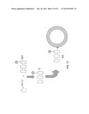 Metal Coating of Rare Earth Nano-Phosphors and Uses Thereof diagram and image