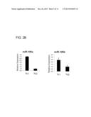 TH1-ASSOCIATED MICRORNAS AND THEIR USE FOR TUMOR IMMUNOTHERAPY diagram and image