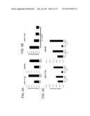 TH1-ASSOCIATED MICRORNAS AND THEIR USE FOR TUMOR IMMUNOTHERAPY diagram and image