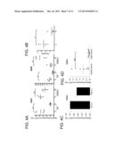 TH1-ASSOCIATED MICRORNAS AND THEIR USE FOR TUMOR IMMUNOTHERAPY diagram and image