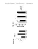 TH1-ASSOCIATED MICRORNAS AND THEIR USE FOR TUMOR IMMUNOTHERAPY diagram and image