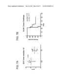 TH1-ASSOCIATED MICRORNAS AND THEIR USE FOR TUMOR IMMUNOTHERAPY diagram and image