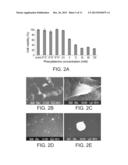 COMPOSITIONS AND METHODS FOR DIAGNOSING AND TREATING PHENYLKETONURIA (PKU) diagram and image