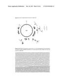 VIRUS LIKE PARTICLE PRODUCTION IN PLANTS diagram and image