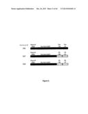 VIRUS LIKE PARTICLE PRODUCTION IN PLANTS diagram and image