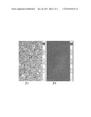 Use of Silver-Containing Layers at Implant Surfaces diagram and image