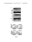 NOVEL PHARMACEUTICAL COMBINATIONS AND METHODS FOR TREATING CANCER diagram and image