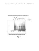 MODULATING DISEASE THROUGH GENETIC ENGINEERING OF PLANTS diagram and image