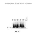 MODULATING DISEASE THROUGH GENETIC ENGINEERING OF PLANTS diagram and image