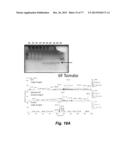 MODULATING DISEASE THROUGH GENETIC ENGINEERING OF PLANTS diagram and image