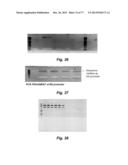 MODULATING DISEASE THROUGH GENETIC ENGINEERING OF PLANTS diagram and image